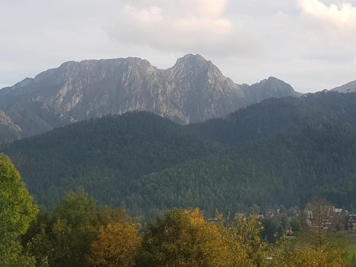 Apartament Sobiczkowa Zakopane Koscielisko Exterior photo